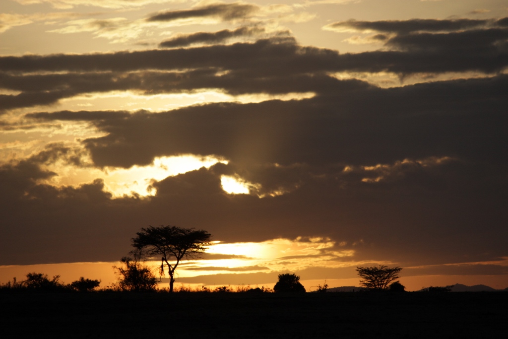 Sunrise at Masai Mara